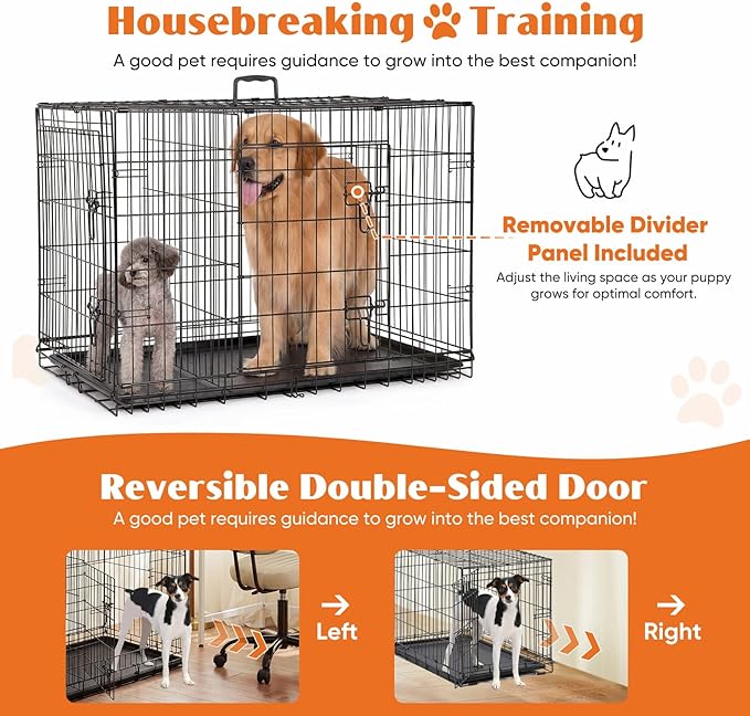 Sweetcrispy 36 Inch Dog Crate, Medium Crates Double Door Folding Metal Wire Dog - Image 4