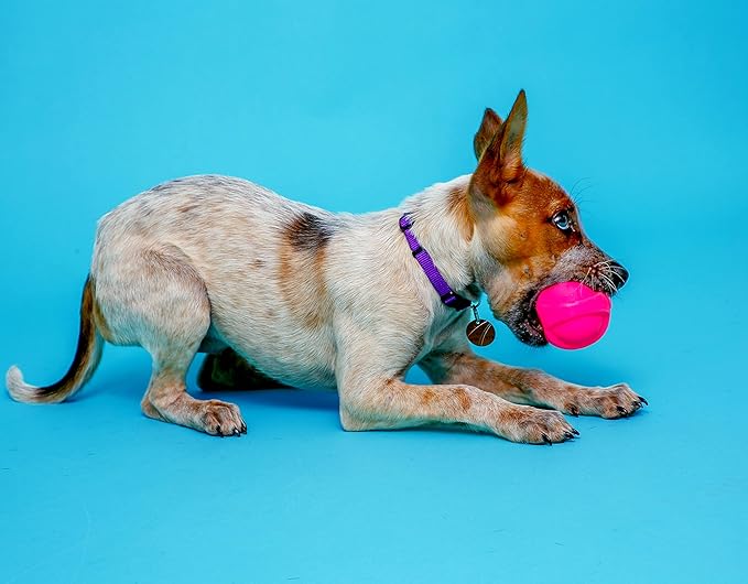 Hartz DuraPlay Bacon Scented Dog Toys - Image 4