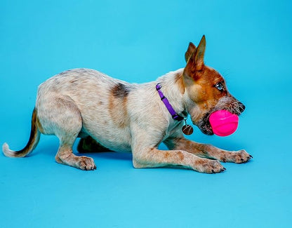 Hartz DuraPlay Bacon Scented Dog Toys - Image 4