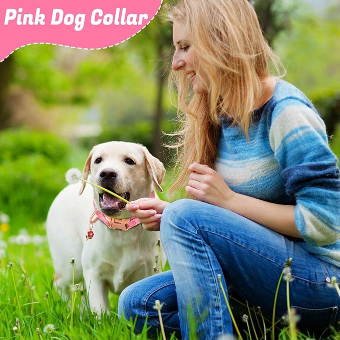 3 Pack Floral Dog Collars for Small Dogs Pink Dog Collar - Image 5