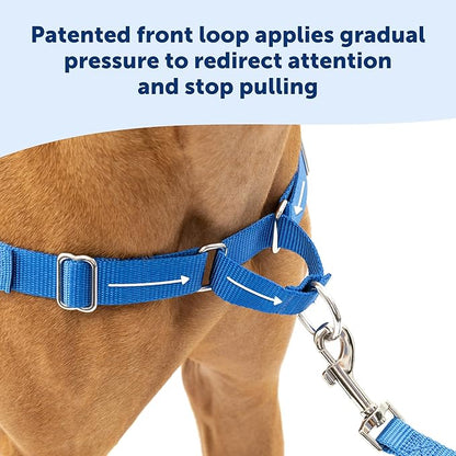 PetSafe Easy Walk No-Pull Dog Harness - Image 3