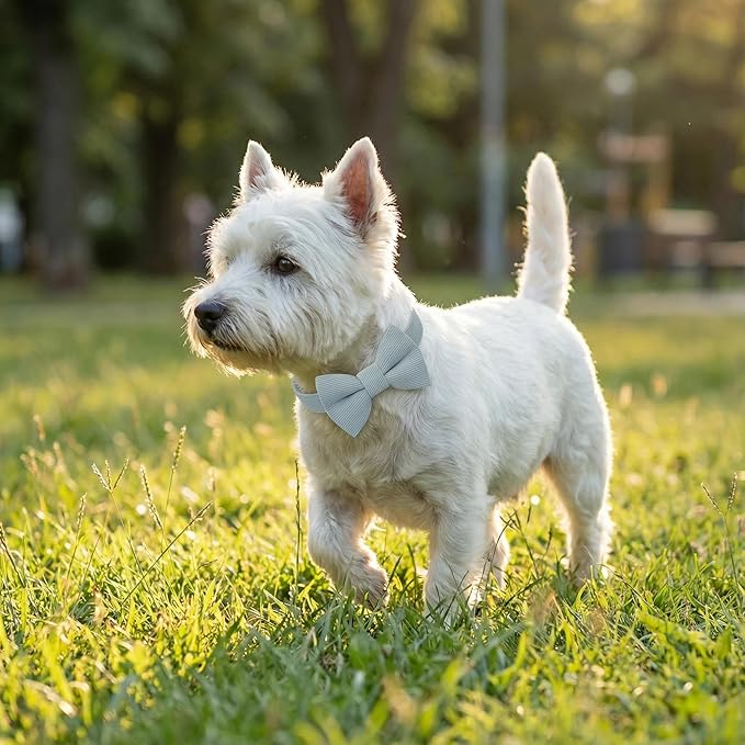 THAIN Dog Collar with Bow Tie Corduroy, Breathable&Adjustable Quick Release - Image 6