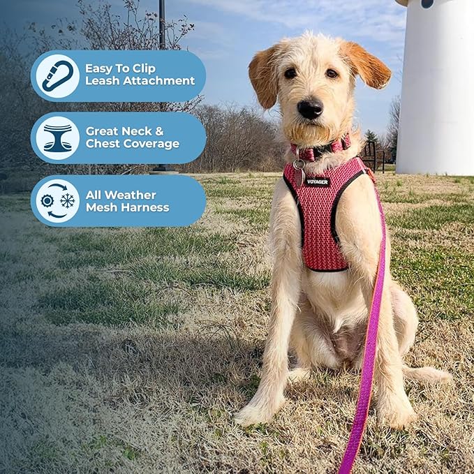Best Pet Supplies Voyager Step-in Air Harness - Image 3