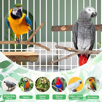 4-Pack Natural Wood Bird Perch Stand - Image 7