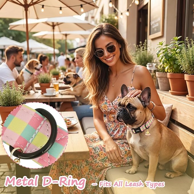 Dog Collar with Colorful Check Pattern, Spring Summer Collection Dog Collar - Image 4