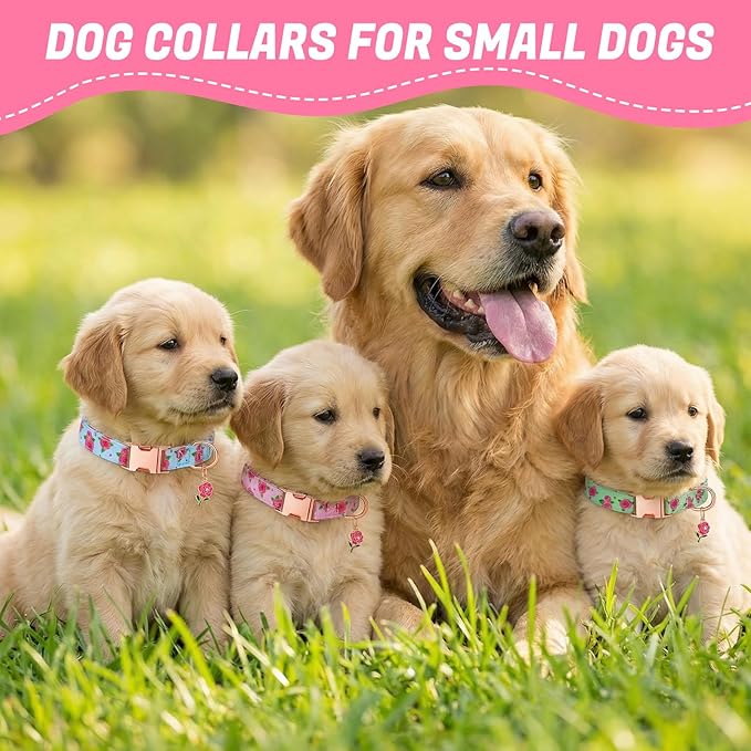 3 Pack Floral Dog Collars for Small Dogs Rose Flower Dog Collars - Image 7