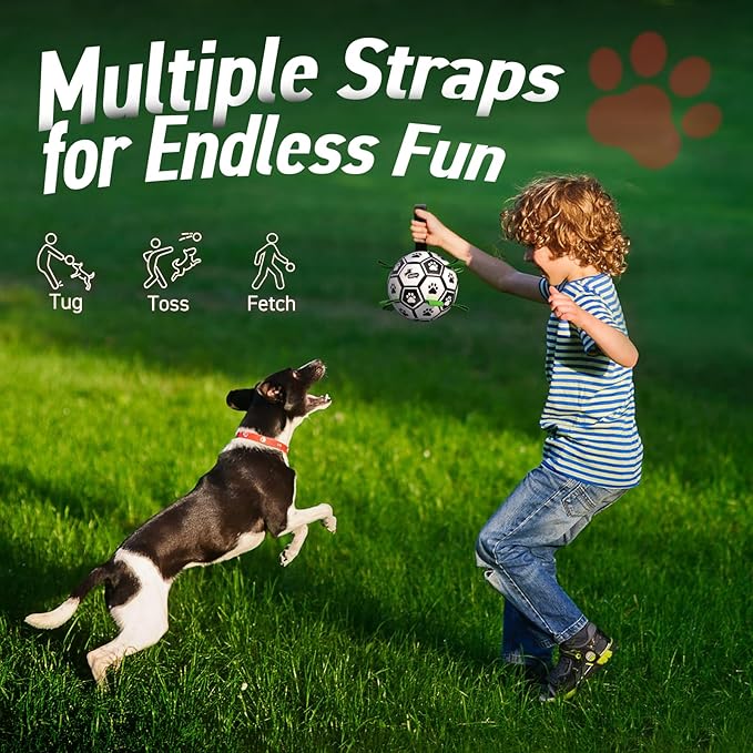 QDAN 6 Inch Dog Toys, Durable Floatable Dog Balls - Image 7