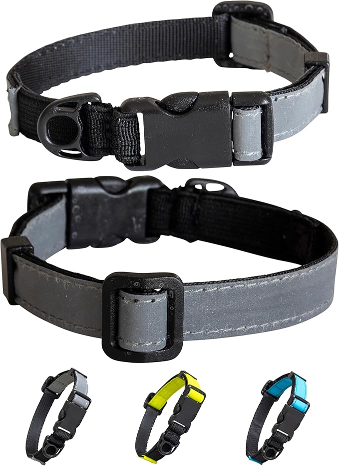 CatGoods Reflective Silver Stretch Cat Collar – Escape-Safe Alternative to by CatGoods