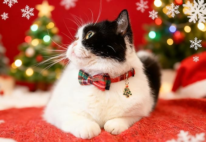 Cat Collar Breakaway Bowtie Safety - Image 2