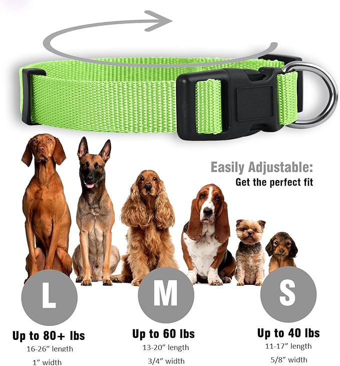 Native Pup Basic Nylon Dog Collar, Adjustable - Image 3