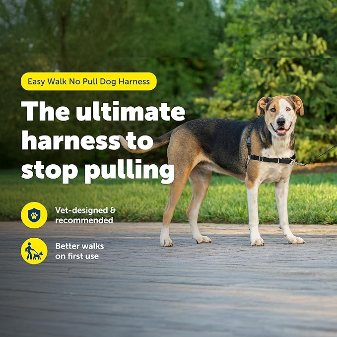 PetSafe Easy Walk No-Pull Dog Harness - Image 2