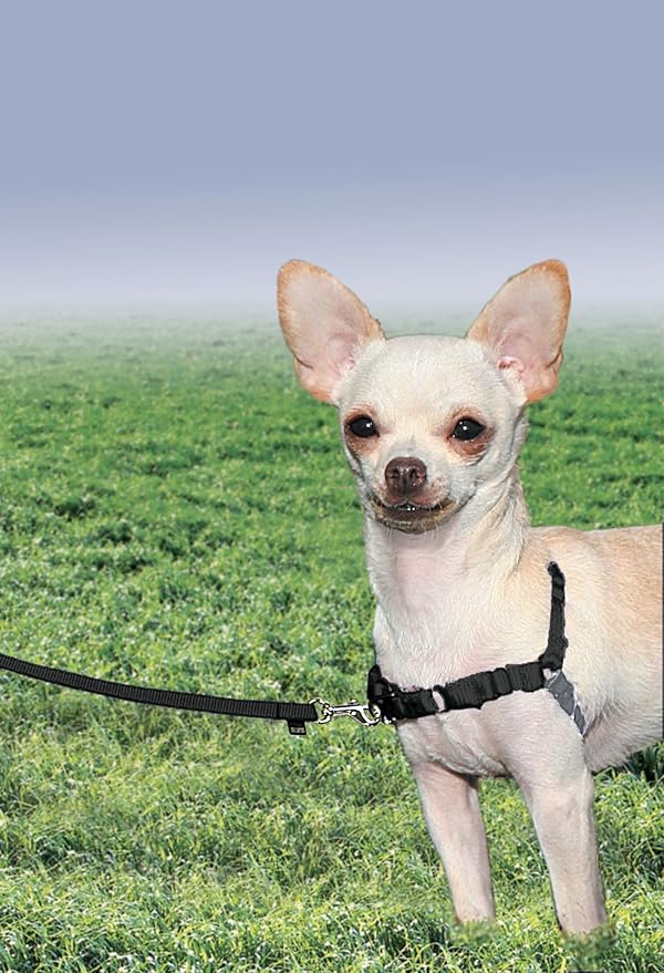 PetSafe Easy Walk No-Pull Dog Harness - Image 2