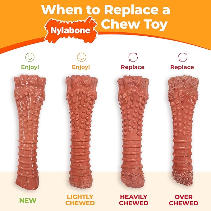 Nylabone Broccoli Power Chew Toy - Image 8