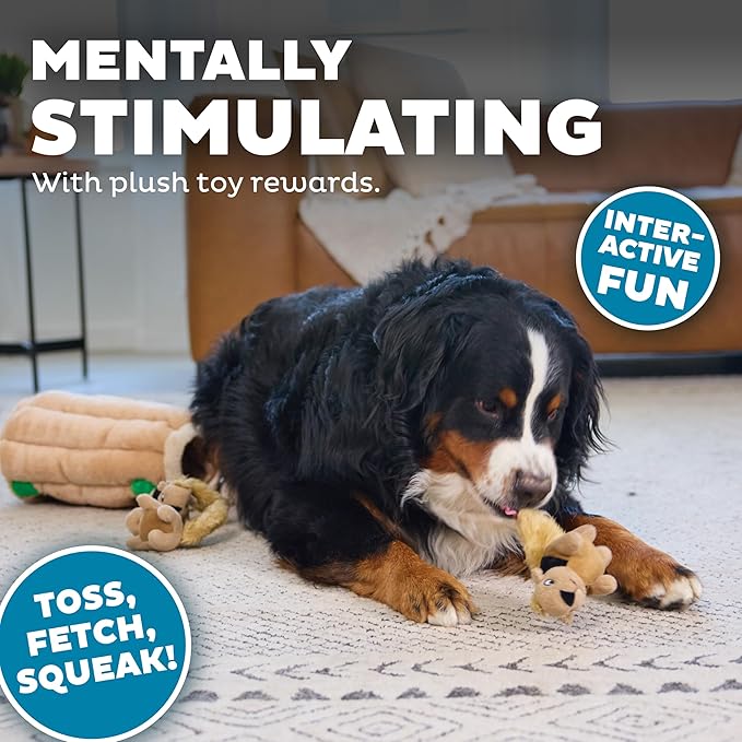 Outward Hound Hide-A-Squirrel Dog Toy – Interactive 2‑in‑1 Plush Puzzle - Image 4
