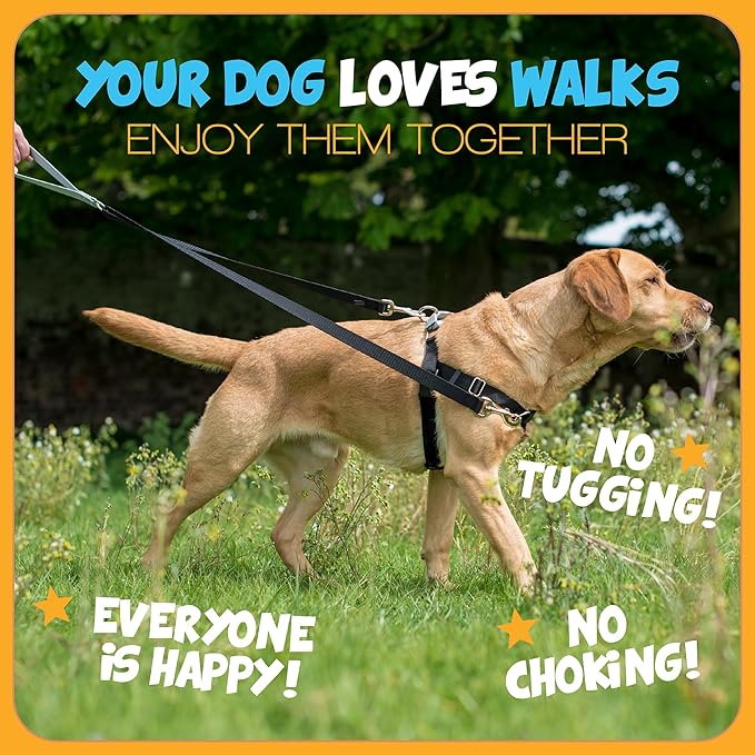 2 Hounds Design Freedom No Pull Dog Harness, Adjustable Harness, Easy Walking & - Image 5