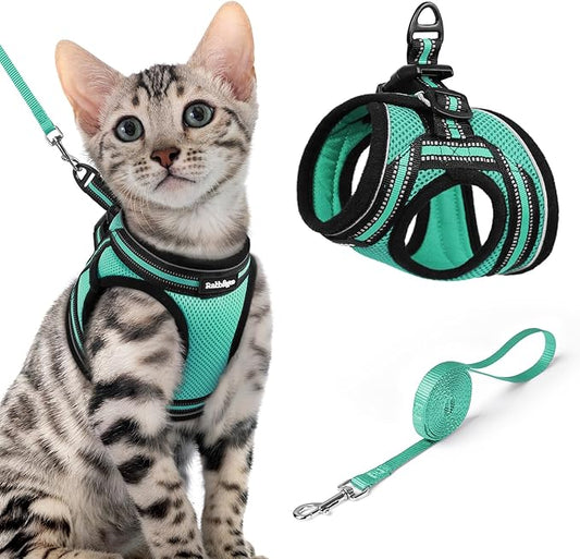rabbitgoo Cat Harness and Leash, Step-in Escape Proof Kitten Harness Set by rabbitgoo