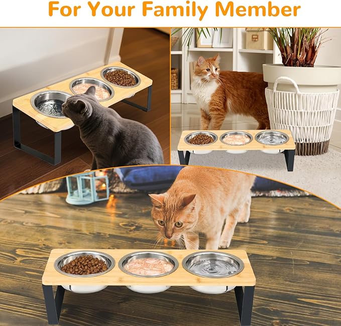Elevated Cat Bowls with 3 Stainless Steel, 15° Tilted Raised Cat Bowl Set - Image 7