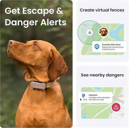 Tractive GPS Dog Tracker Real-time Pet Location Tracker | Health & Wellness - Image 7