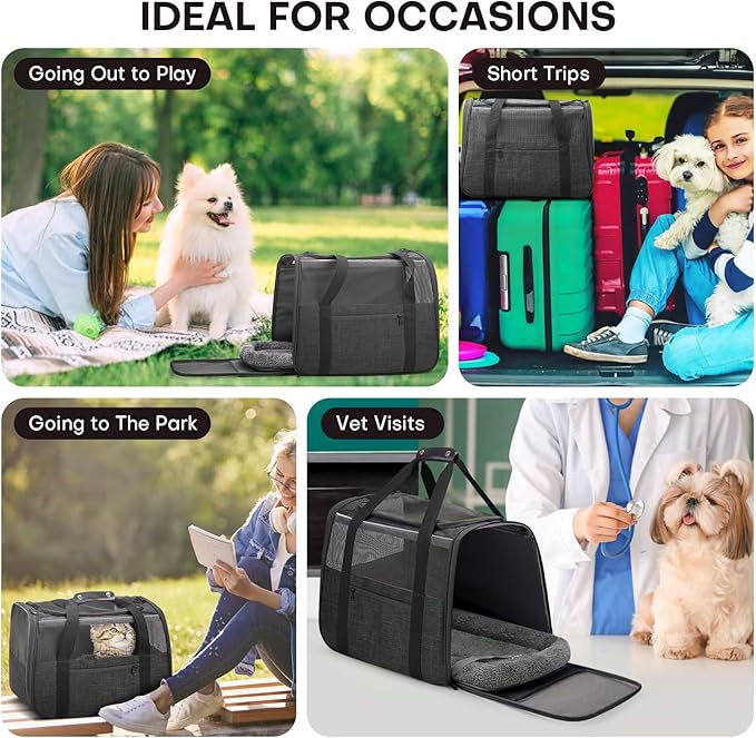 JUNGYOUN Premium ​Cat Carrier - Image 2