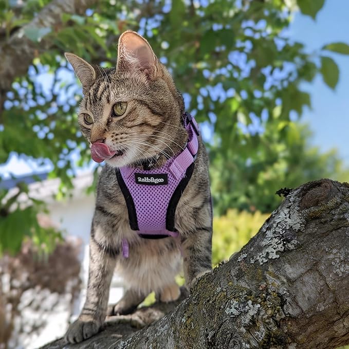 rabbitgoo Cat Harness and Leash - Image 9