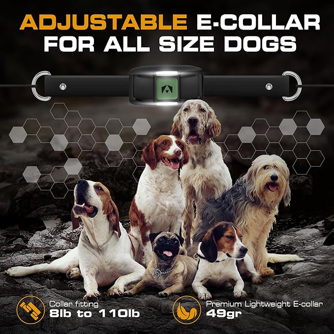 INVIROX 2026 Edition Dog Training Collar - Image 8