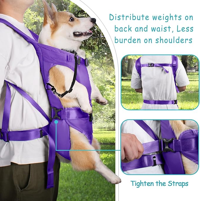 PetBonus Pet Front Dog Carrier Backpacks, Adjustable Pet Backpack, Legs Out - Image 3