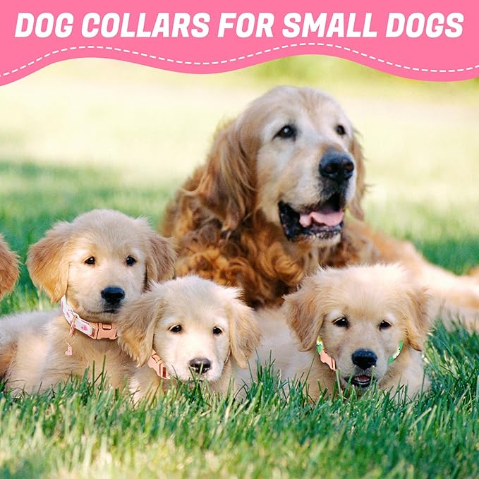 3 Pack Floral Dog Collars for Small Dogs Pink Dog Collar - Image 7