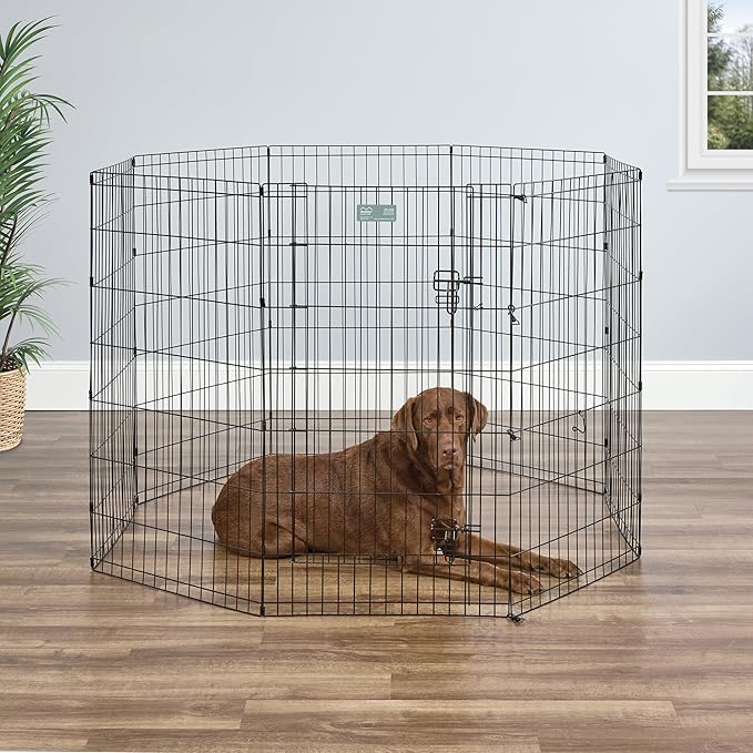 MidWest Homes for Pets 42-Inch Exercise Pen, for Indoor and Outdoor Use - Image 3