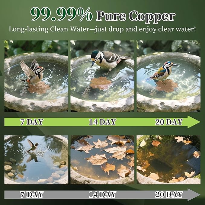 Bird Bath Copper Disk - Image 2