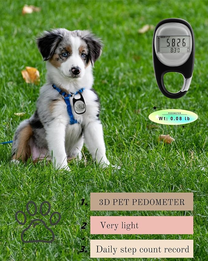 3D Pedometer for Walking Steps Miles, Distance Tracking, Calorie Count - Image 3