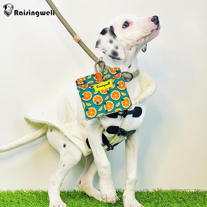 Dog Treat Pouch, Cotton Pocket Sized Training Holder, Hand Free Walking Funny - Image 6