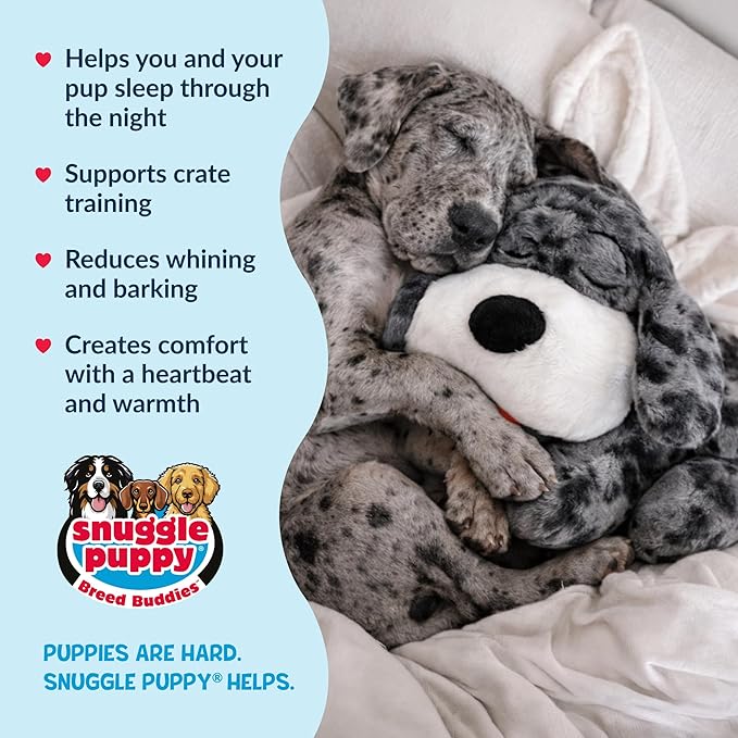 Snuggle Puppy Heartbeat Puppy Toy - Image 4