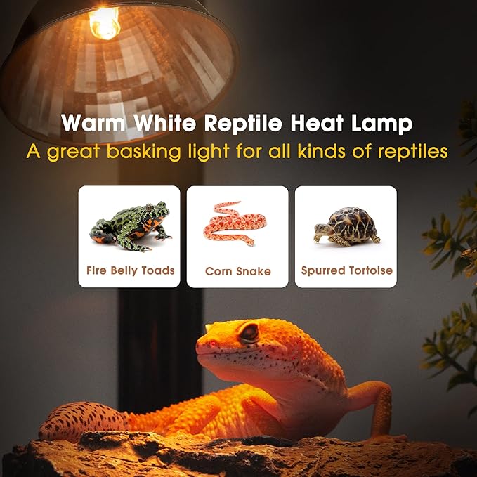 Briignite G9 Heat Lamp Bulbs for Reptile, Mini Reptile Light, Dimmable G9 Mini - Image 3