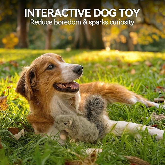 ALL FOR PAWS Classic Squirrel Pet Toys - Image 7