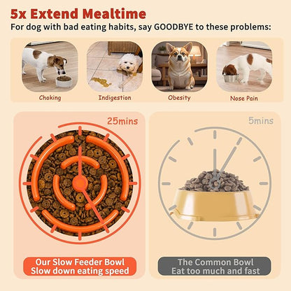 Elevated Slow Feeder Dog Bowl - Image 3