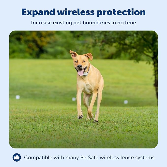 PetSafe Wireless Fence Extra Transmitter, Increase Your Existing Wireless Fence - Image 3