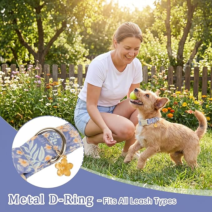Floral Dog Collar, Cute Girl Boy Dog Collar Ideal Daily Use - Image 6