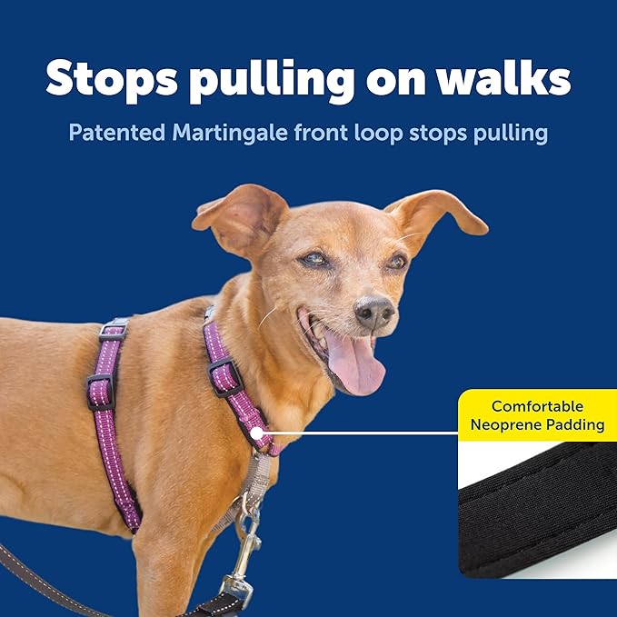 PetSafe 3 in 1 Dog Harness - Image 3