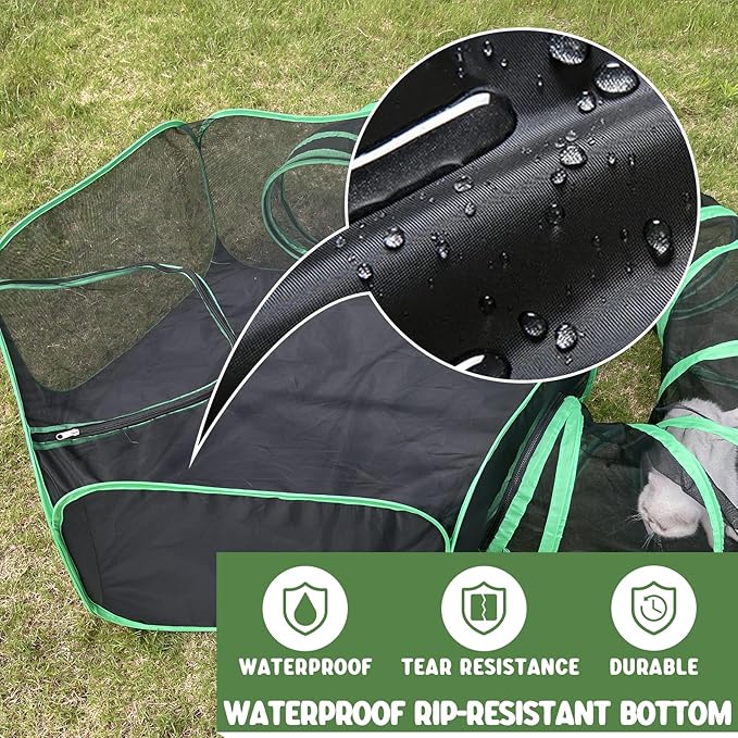 Pawtenda Outdoor Cat Enclosures - Image 5
