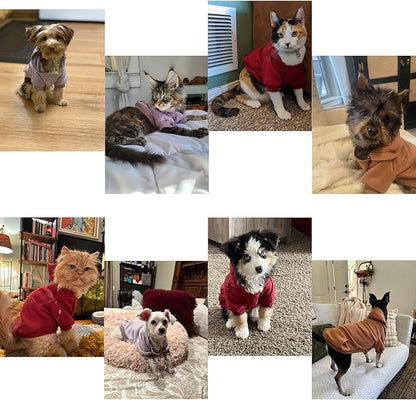TAPBULL Dog Dresses, Fashionable Pet Dog Sweatshirt Clothes in Light Colors - Image 7