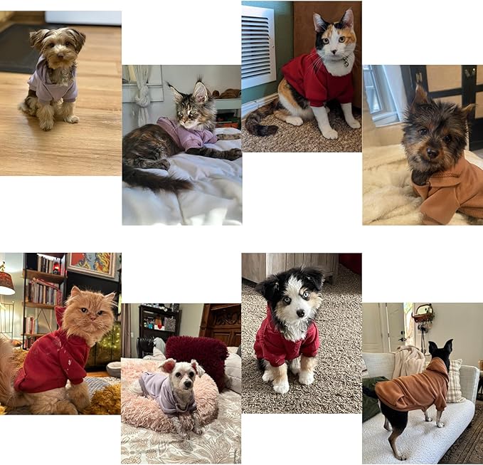 TAPBULL Dog Dresses, Fashionable Pet Dog Sweatshirt Clothes in Dark Colors - Image 7