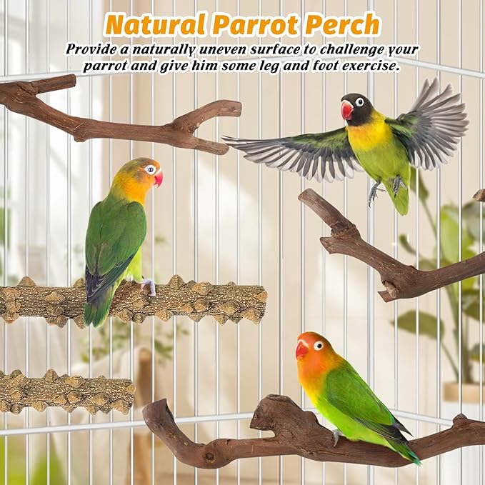 kathson 5pcs Natural Parrot Perch - Image 6