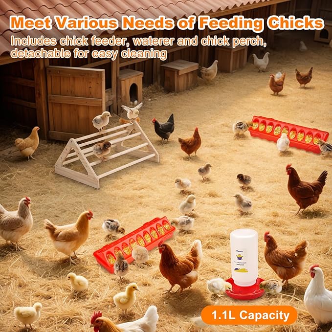 Pawaboo 6-in-1 Chicken Brooder Box - Image 5