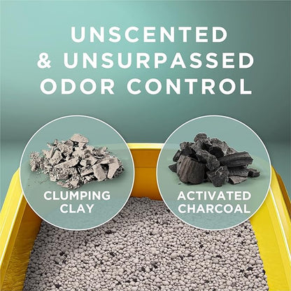 Purina Tidy Cats Clumping Cat Litter Odor Control, Free and Clean Unscented - Image 2