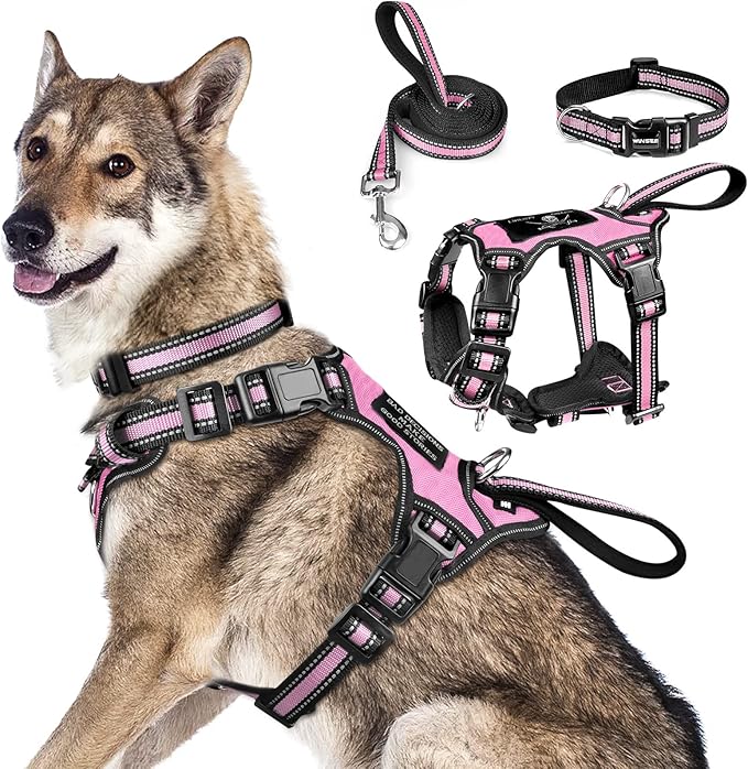WINSEE Pet Harness Collar and Leash Set, All-in-one Reflective Dog Harness No by WINSEE