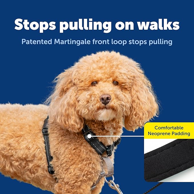 PetSafe 3 in 1 No-Pull Dog Harness - Image 3
