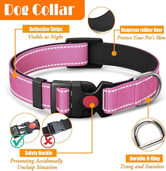 LOBEVE No Pull Dog Harness, Collar & Leash Set | Includes Dog Seat Belt - Image 6