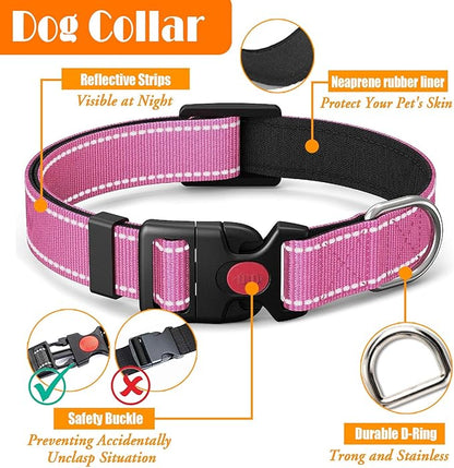 LOBEVE No Pull Dog Harness, Collar & Leash Set | Includes Dog Seat Belt - Image 6