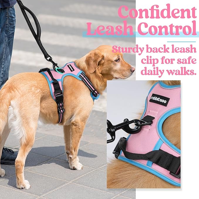 rabbitgoo Dog Harness No Pull - Image 5