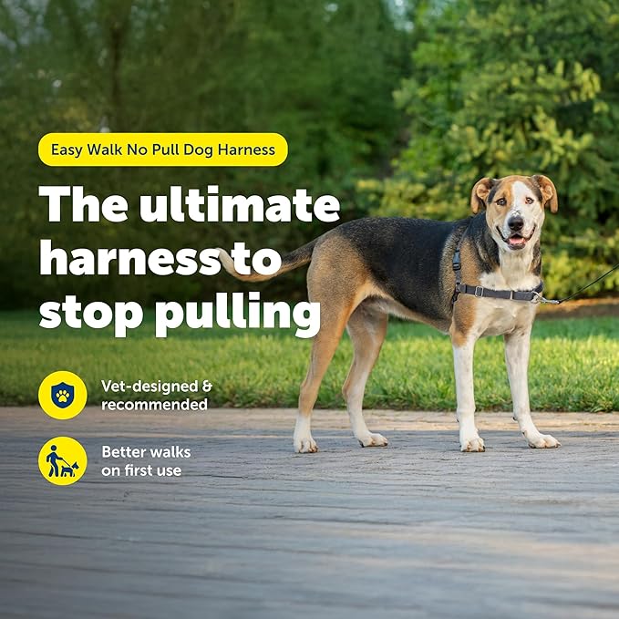 PetSafe Easy Walk No-Pull Dog Harness - Image 2